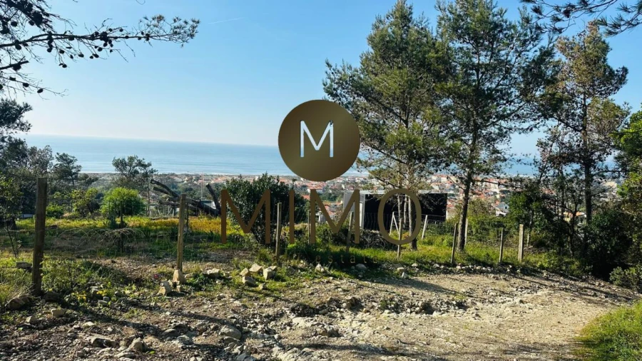 Terreno para Venda em Quiaios Foto 7