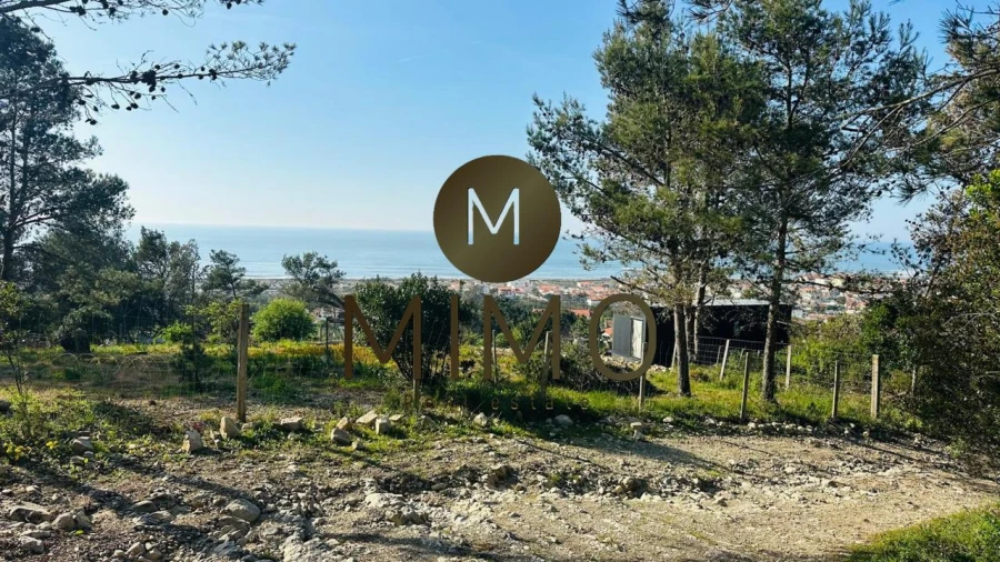 Terreno para Venda em Quiaios Foto 11