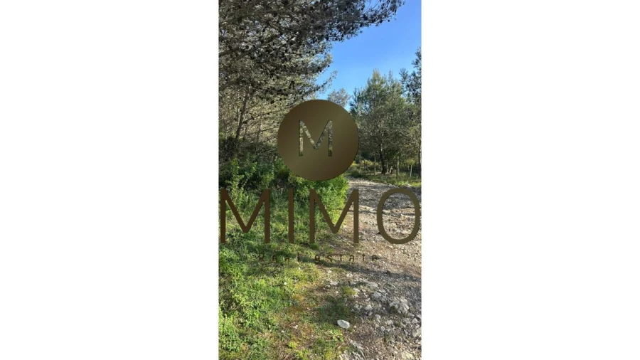 Terreno para Venda em Quiaios Foto 13