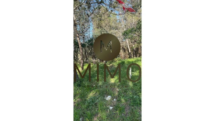 Terreno para Venda em Quiaios Foto 14