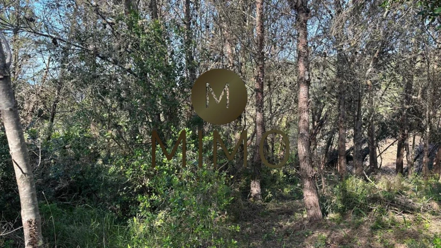 Terreno para Venda em Quiaios Foto 30