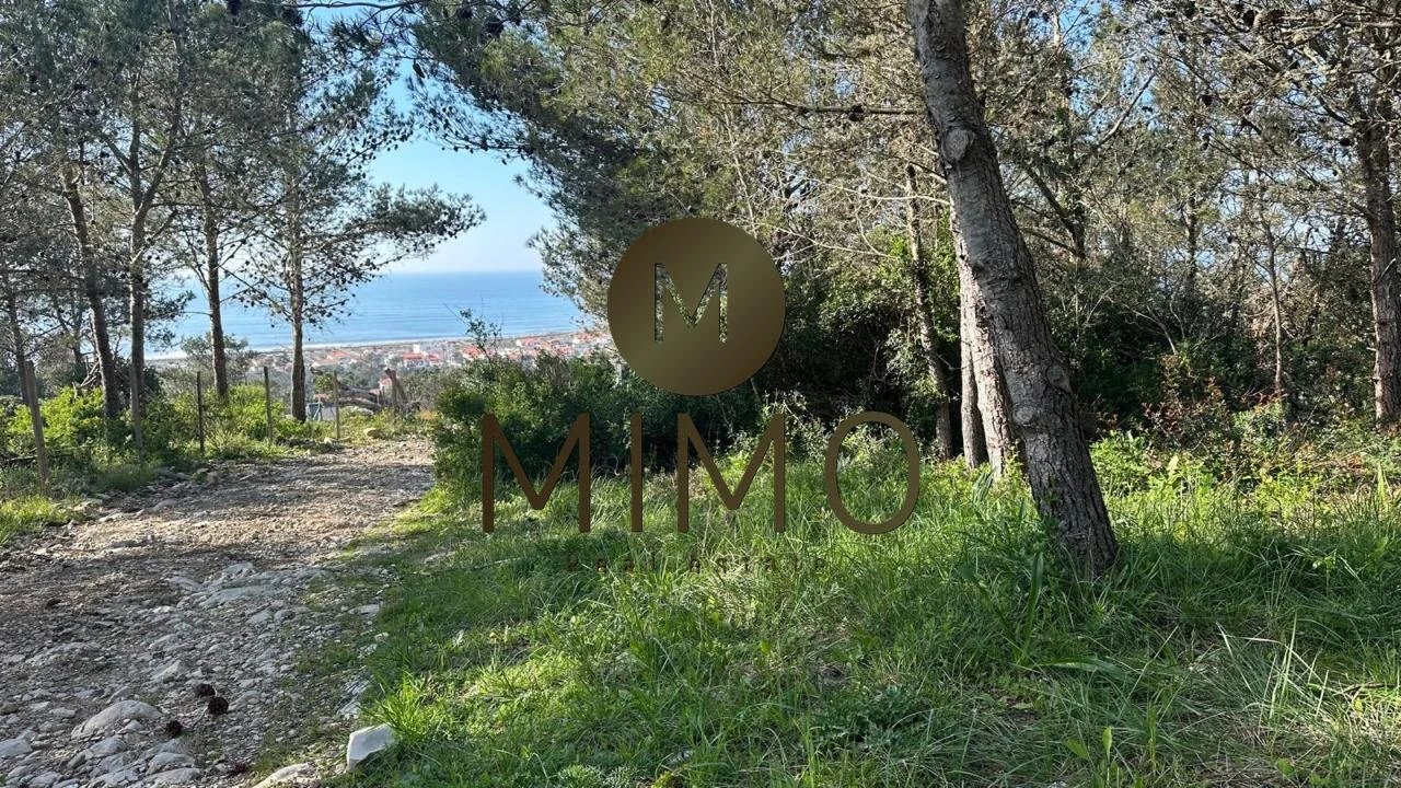 Terreno para Venda em Quiaios Foto 24