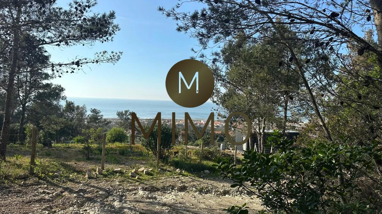 Terreno para Venda em Quiaios Foto 28