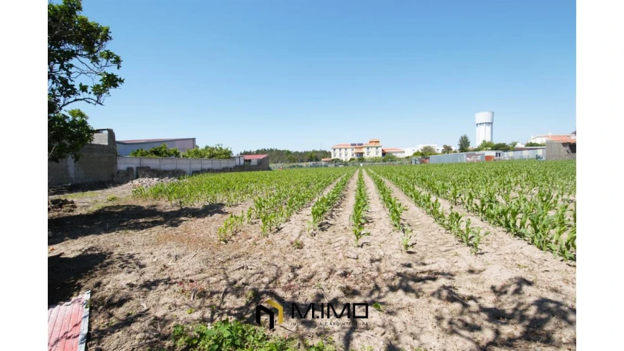 Moradia T3 para Venda em Paião Foto 33