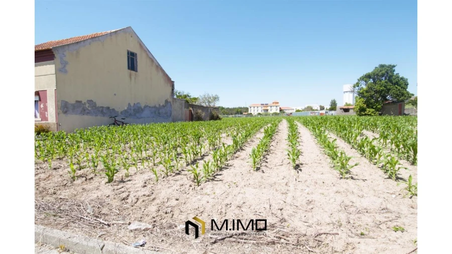 Moradia T3 para Venda em Paião Foto 37