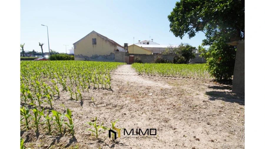 Moradia T3 para Venda em Paião Foto 38