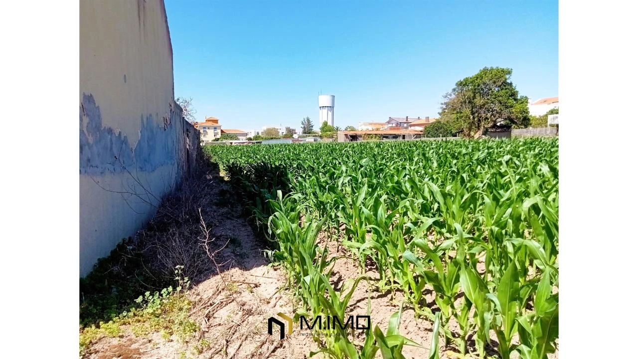 Moradia T3 para Venda em Paião Foto 30