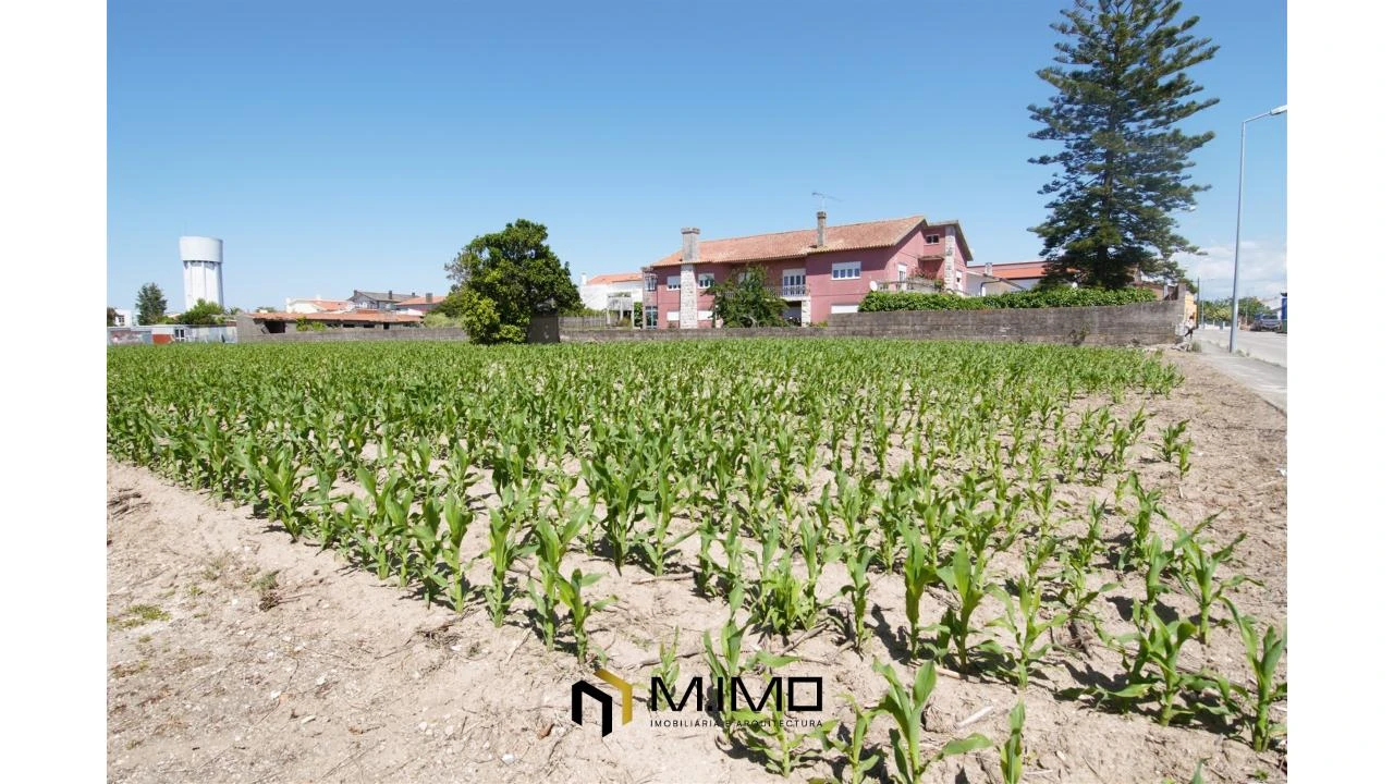 Moradia T3 para Venda em Paião Foto 32