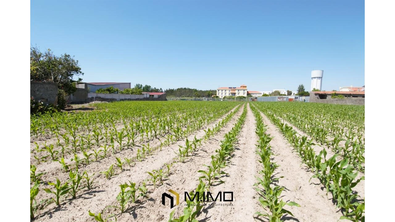 Moradia T3 para Venda em Paião Foto 34