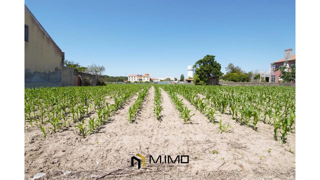 Moradia T3 para Venda em Paião Foto 35