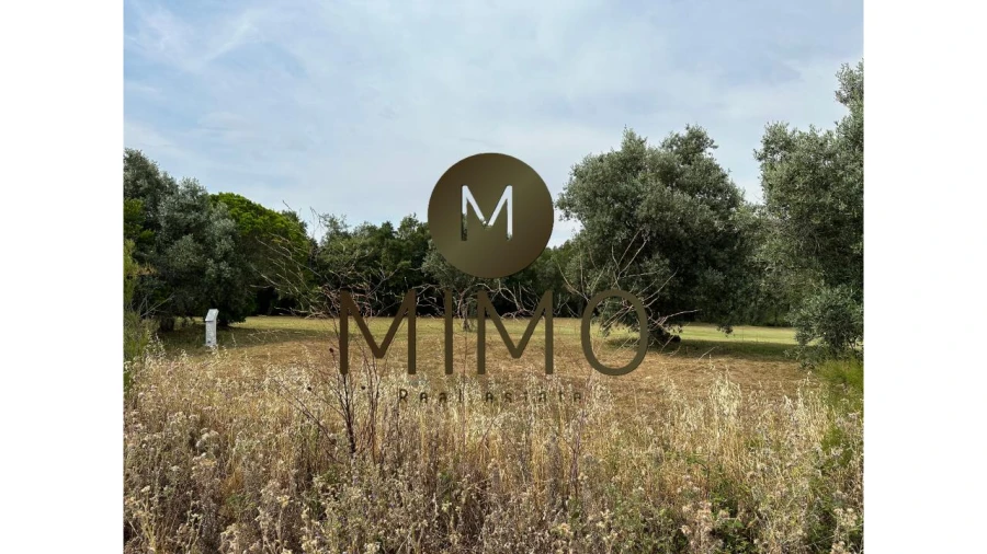 Terreno para Venda em Cacém e São Marcos Foto 19