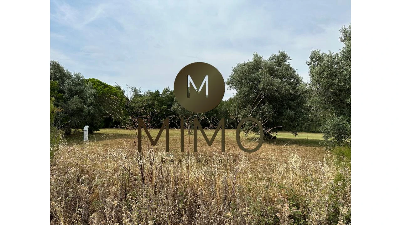 Terreno para Venda em Cacém e São Marcos Foto 19