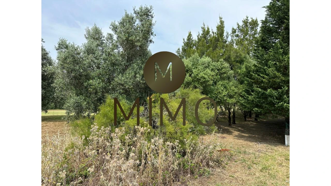 Terreno para Venda em Cacém e São Marcos Foto 20