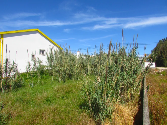 Terreno para Venda em Roliça Foto 9