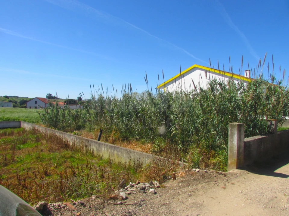 Terreno para Venda em Roliça Foto 3