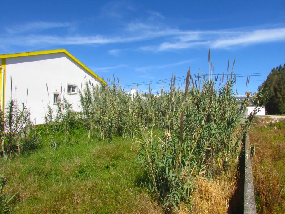 Terreno para Venda em Roliça Foto 9