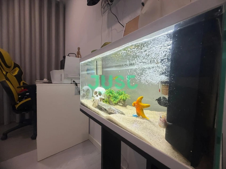 Moradia T3 para Venda em Quinta do Conde Foto 42