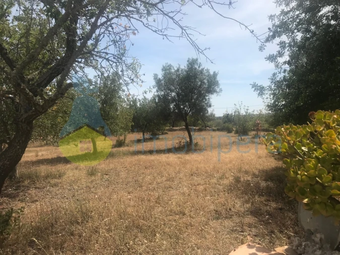 Moradia T4 para Venda em Algoz e Tunes Foto 10