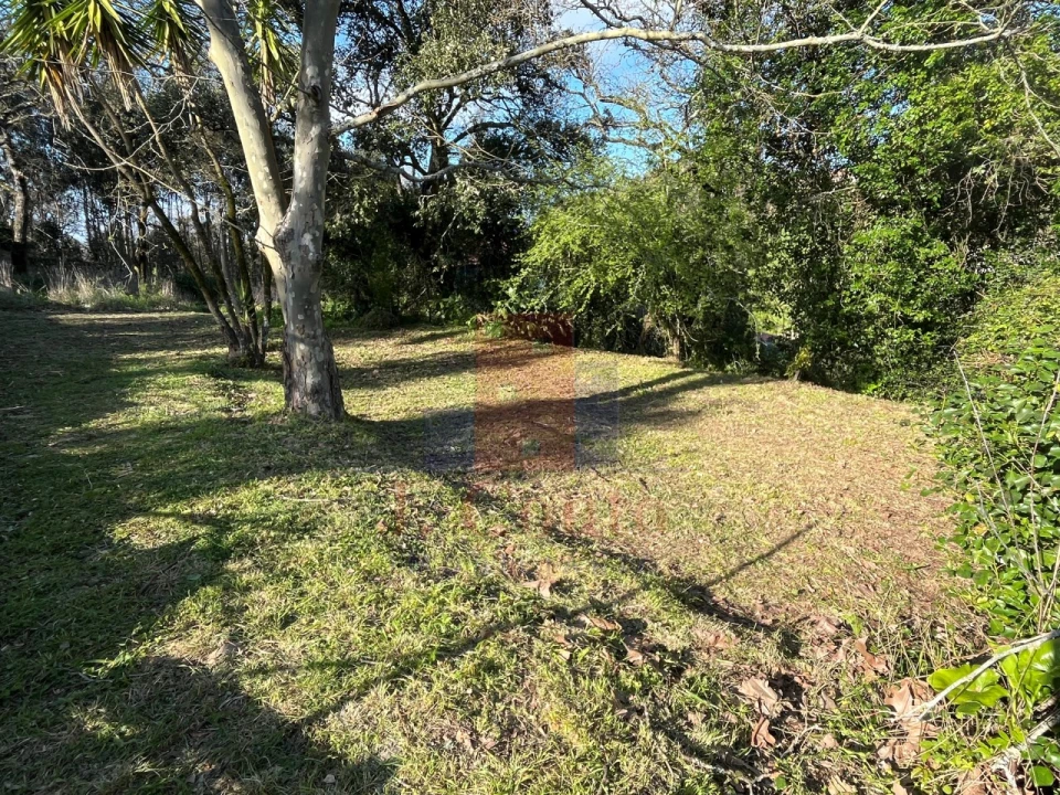 Moradia T4 para Venda em Alcobaça e Vestiaria Foto 7