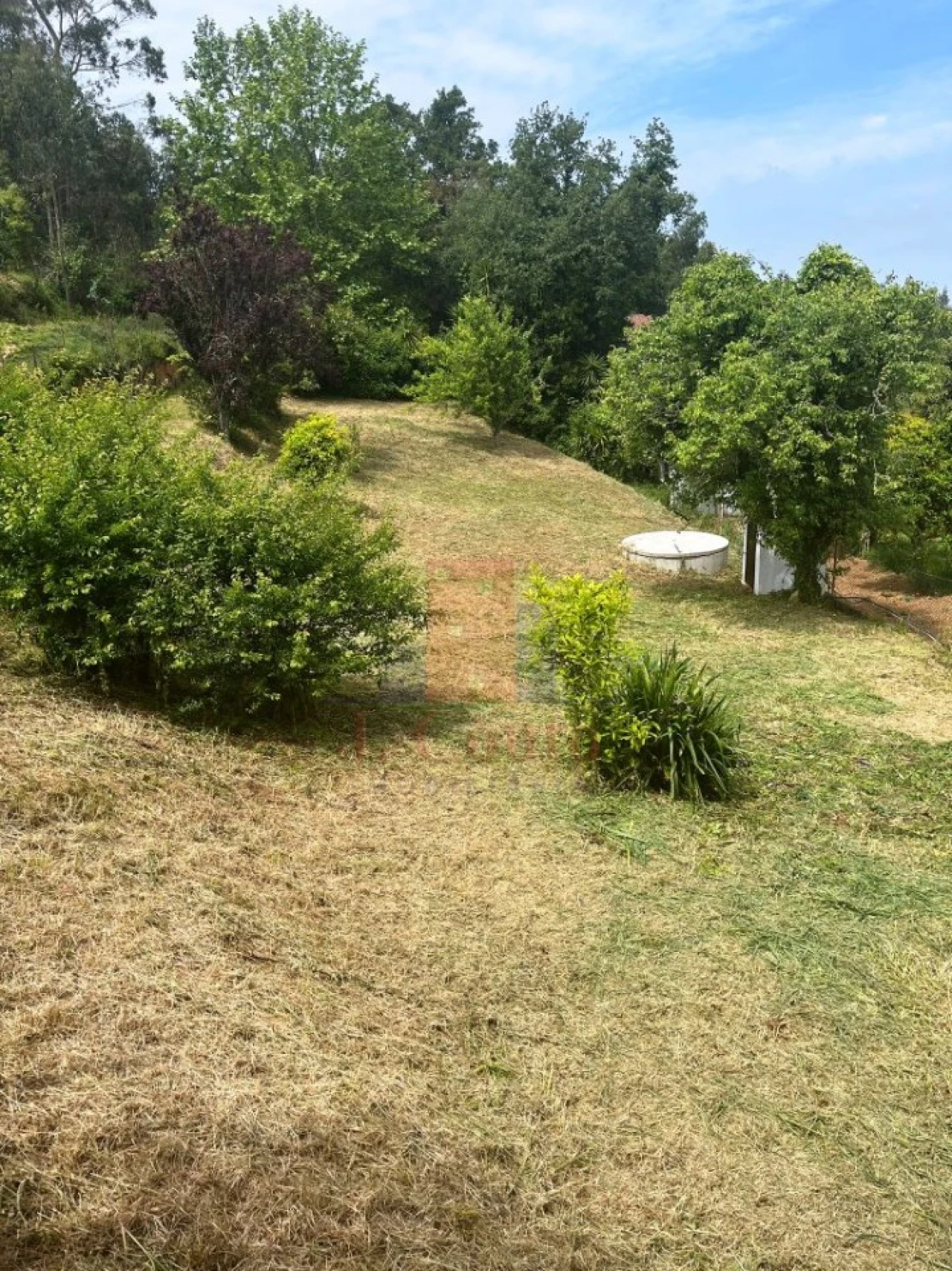 Moradia T4 para Venda em Alcobaça e Vestiaria Foto 6