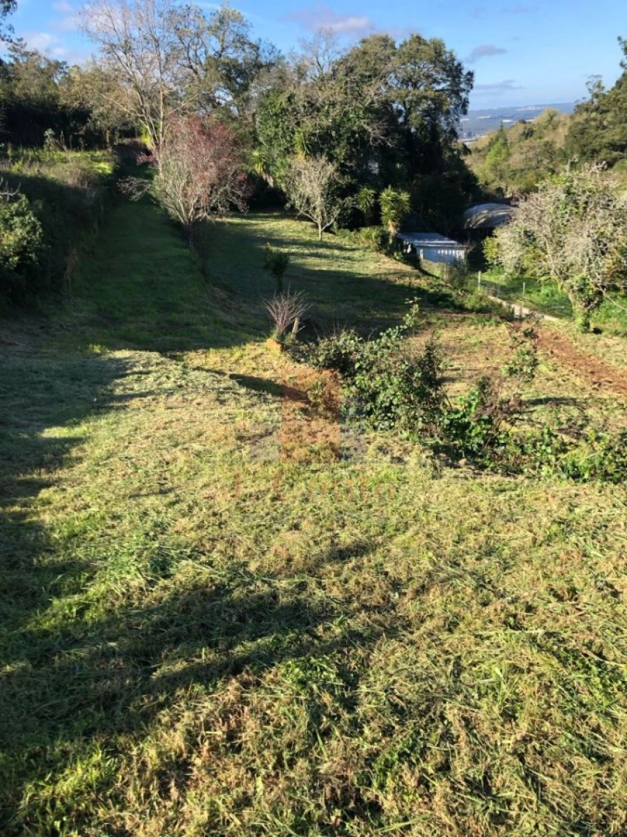 Moradia T4 para Venda em Alcobaça e Vestiaria Foto 6