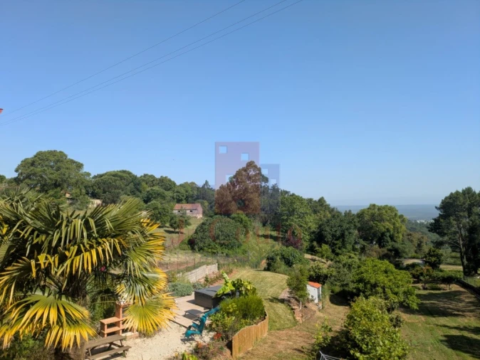 Moradia T4 para Venda em Alcobaça e Vestiaria Foto 13