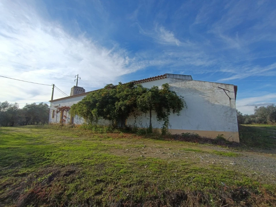 Quinta para Venda em Valhascos Foto 22