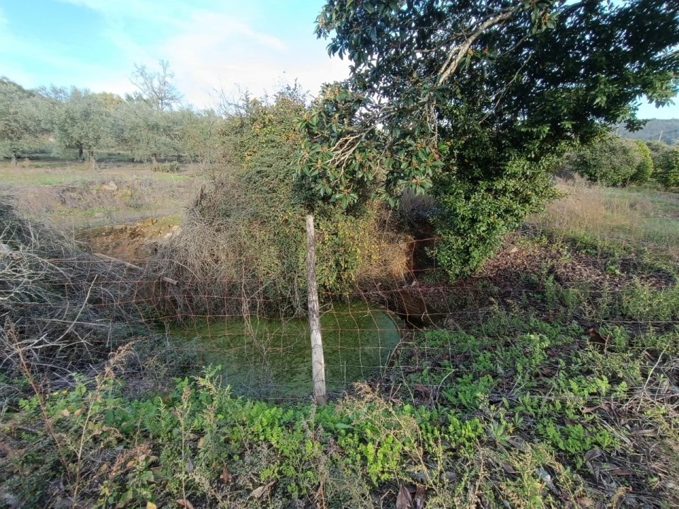 Quinta para Venda em Valhascos Foto 39