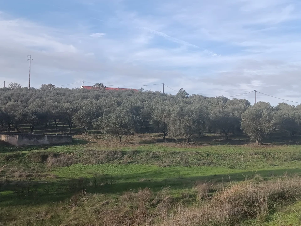 Quinta para Venda em Valhascos Foto 41