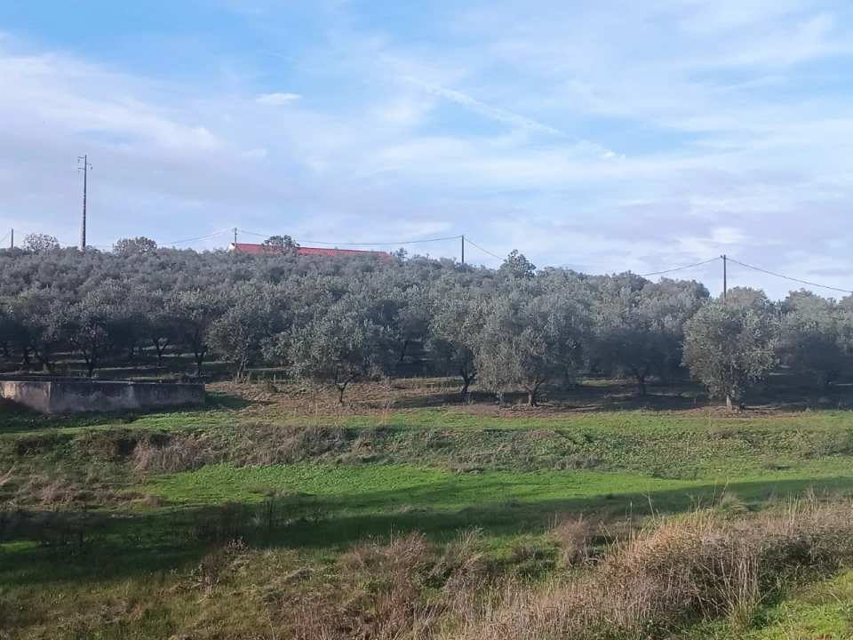 Quinta para Venda em Valhascos Foto 43