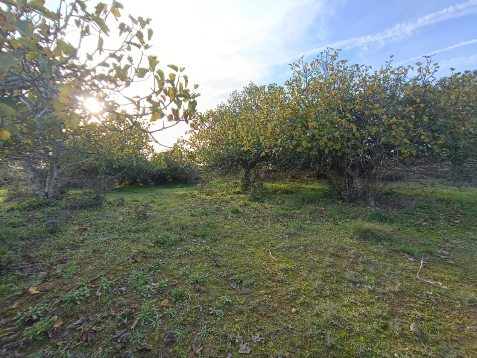 Quinta para Venda em Valhascos Foto 46