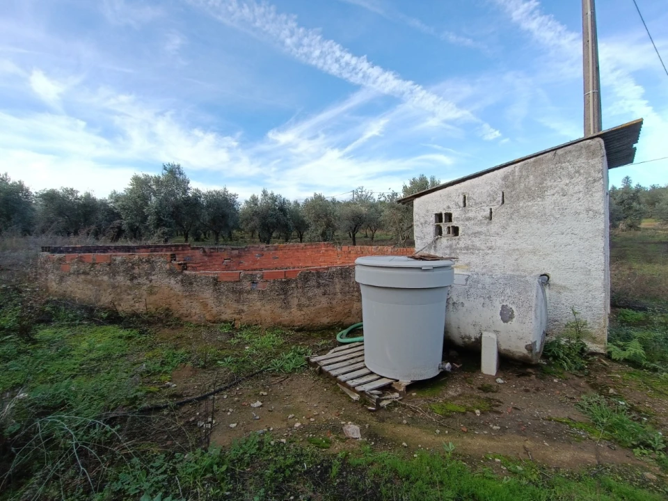 Quinta para Venda em Valhascos Foto 56