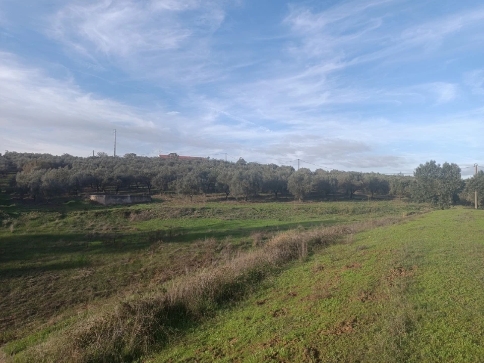 Quinta para Venda em Valhascos Foto 58