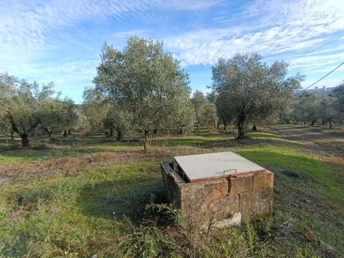 Quinta para Venda em Valhascos Foto 28