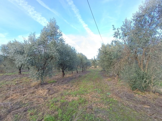 Quinta para Venda em Valhascos Foto 33