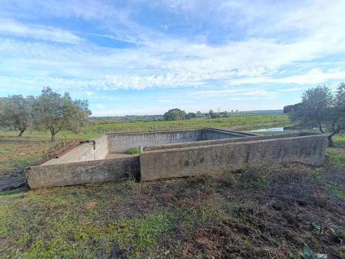 Quinta para Venda em Valhascos Foto 37