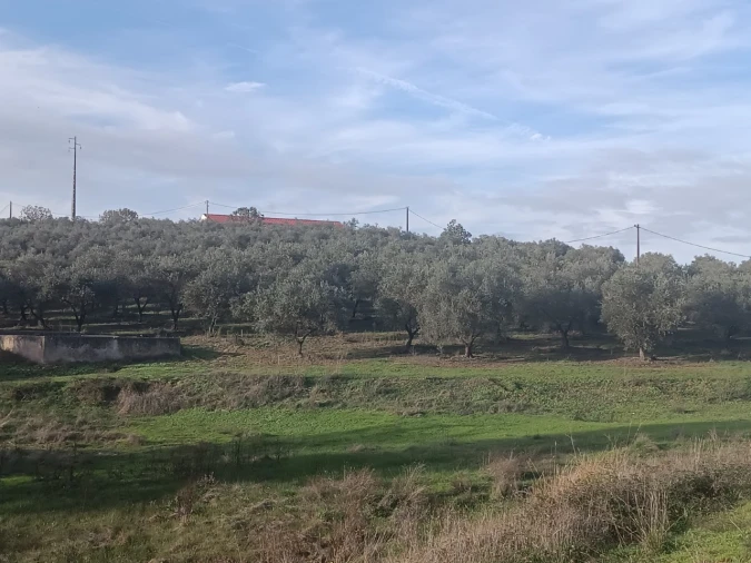 Quinta para Venda em Valhascos Foto 41