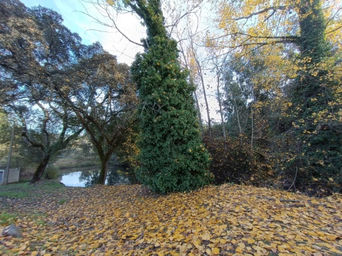 Quinta para Venda em Valhascos Foto 42