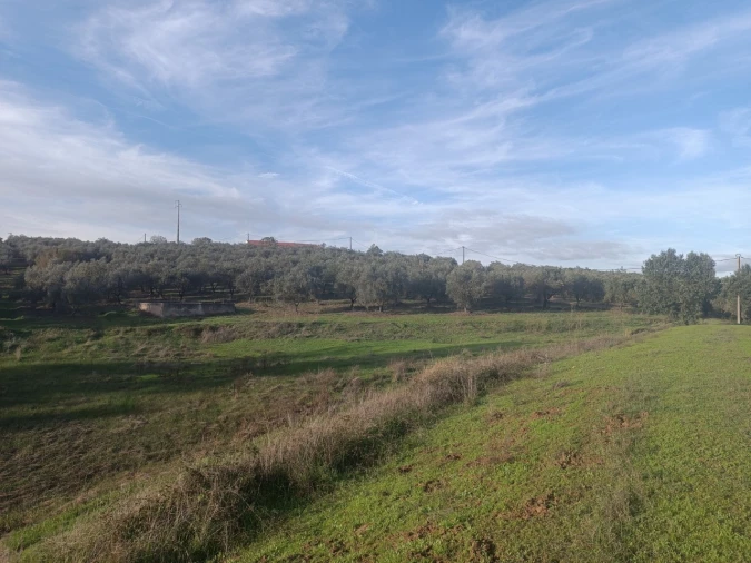 Quinta para Venda em Valhascos Foto 58