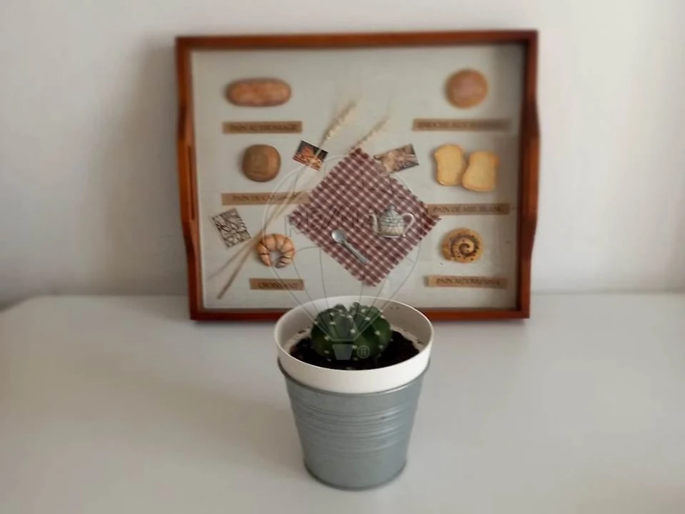 Apartamento T3 para Arrendamento em Rio de Mouro Foto 7