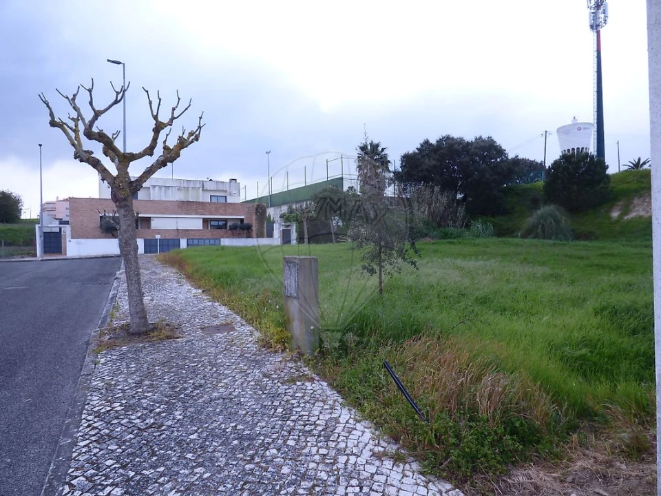 Terreno para Venda em Cartaxo e Vale da Pinta Foto 4