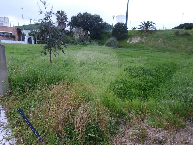 Terreno para Venda em Cartaxo e Vale da Pinta Foto 6