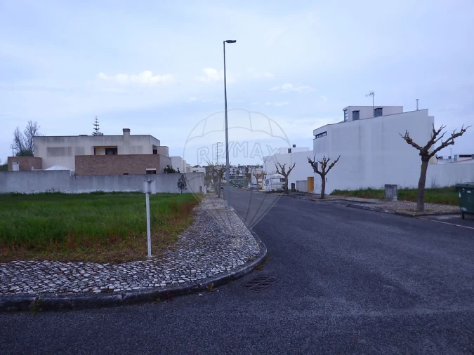 Terreno para Venda em Cartaxo e Vale da Pinta Foto 7