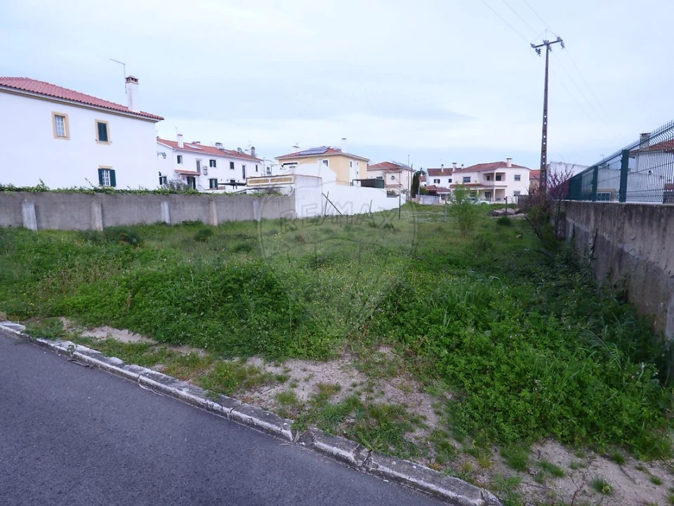Terreno para Venda em Cartaxo e Vale da Pinta Foto 6