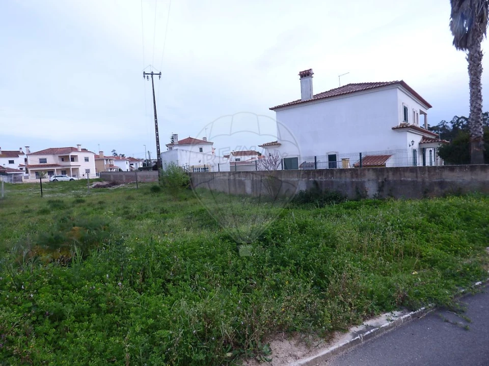 Terreno para Venda em Cartaxo e Vale da Pinta Foto 3