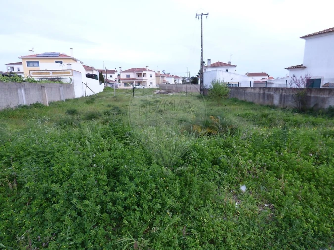 Terreno para Venda em Cartaxo e Vale da Pinta Foto 4