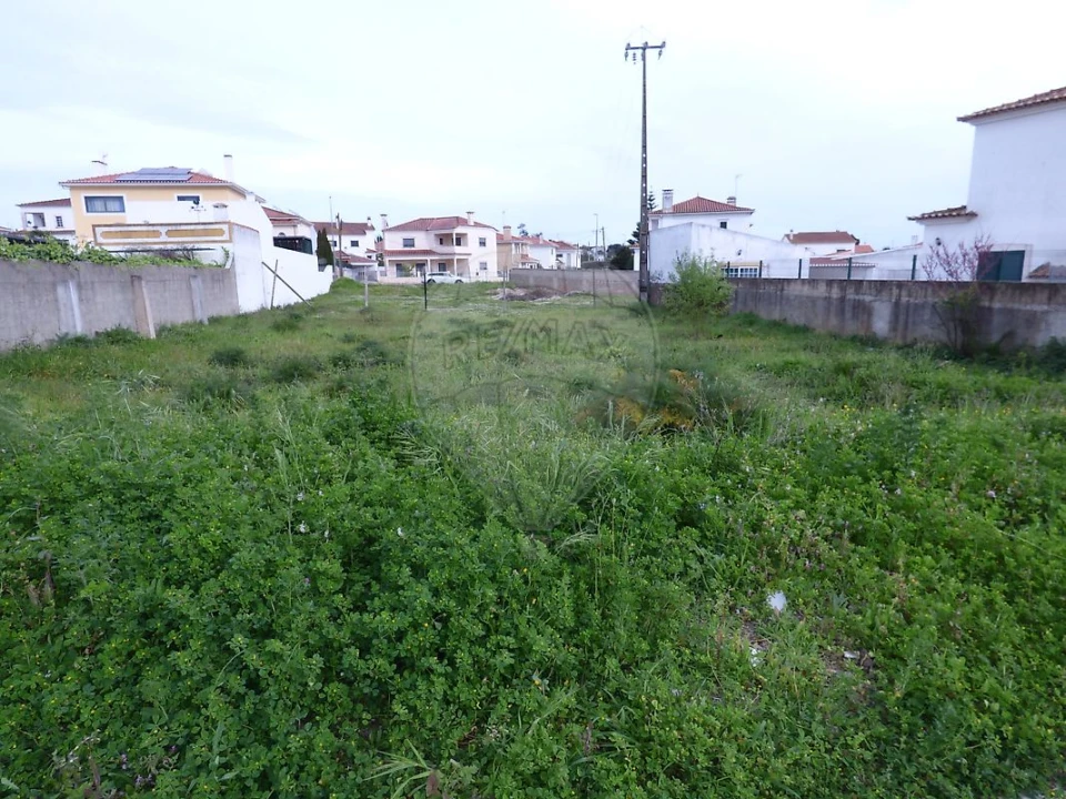 Terreno para Venda em Cartaxo e Vale da Pinta Foto 4
