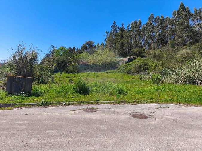 Terreno para Venda em Marvila, Ribeira Santarém, São Salvador, São Nicolau Foto 4