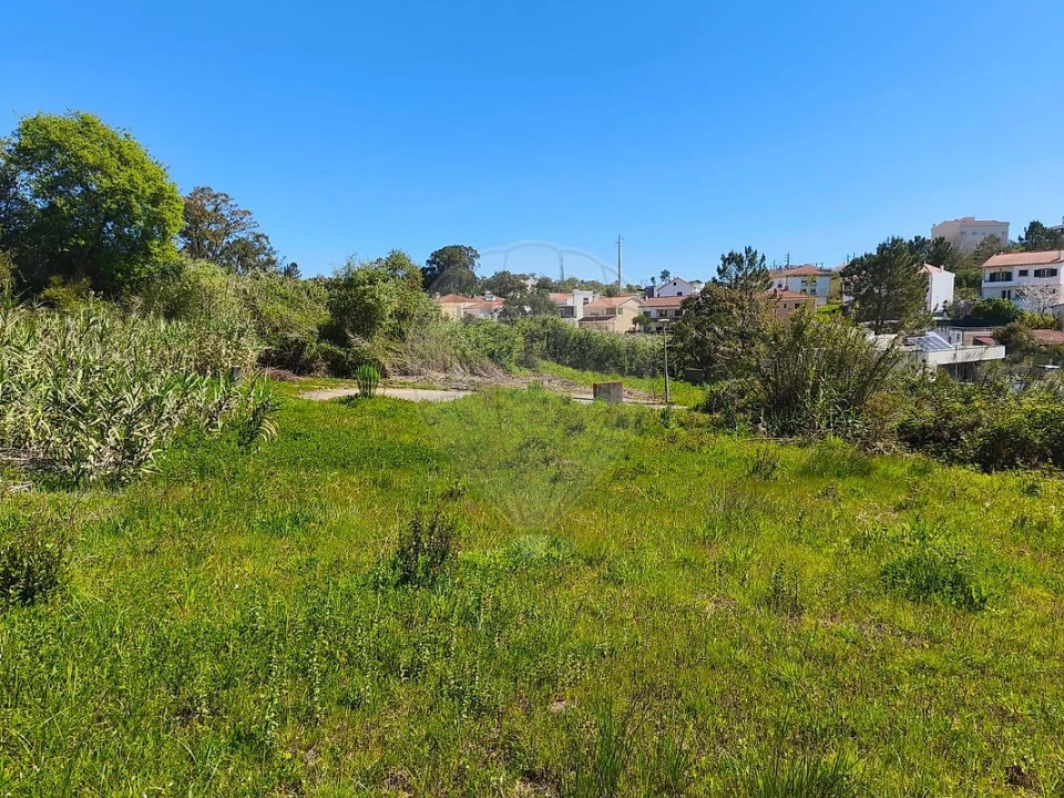 Terreno para Venda em Marvila, Ribeira Santarém, São Salvador, São Nicolau Foto 5