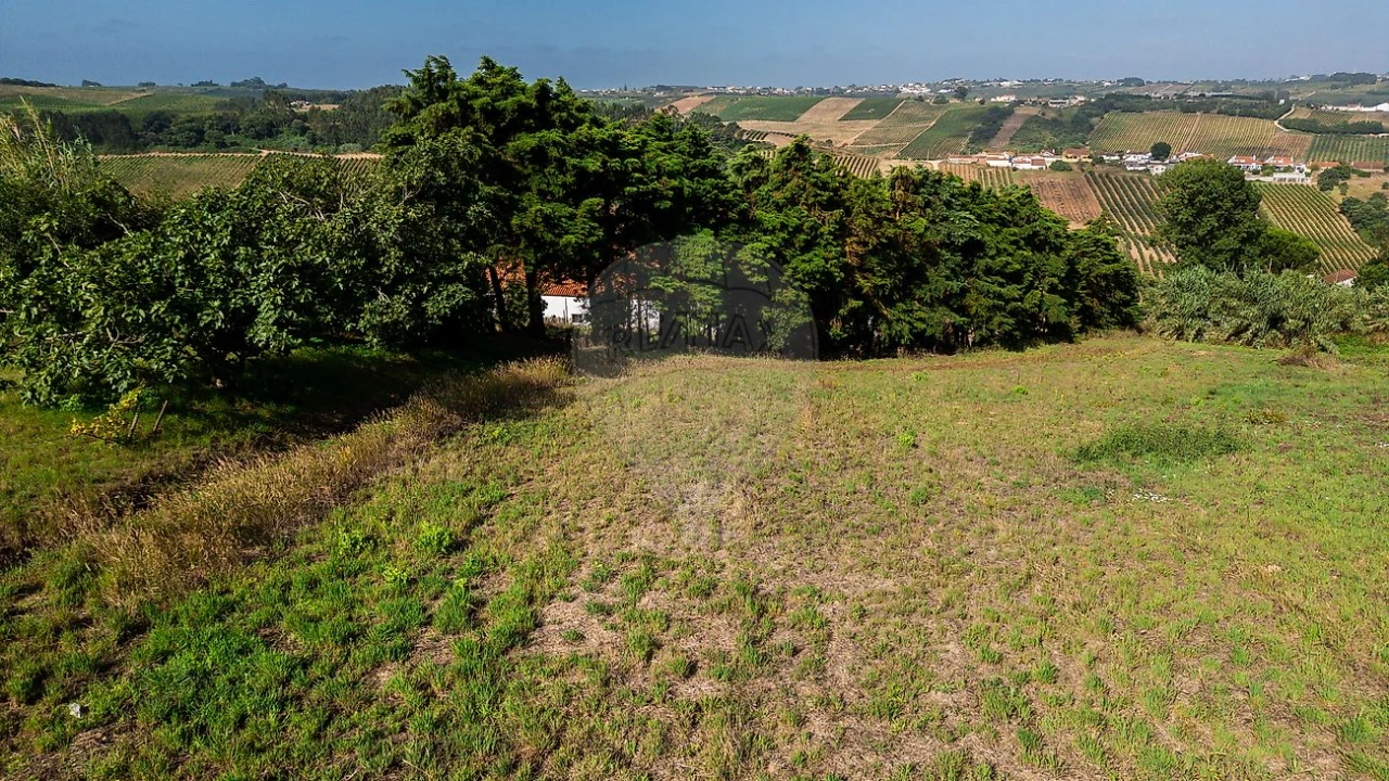 Terreno para Venda em A dos Francos Foto 11